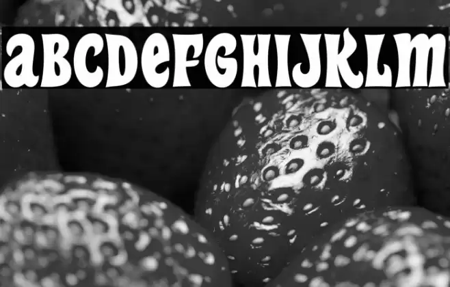 HeavyHeapRg-Regular Font examples