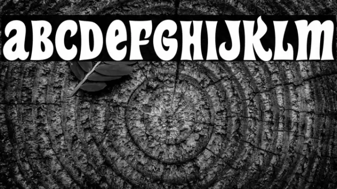 HeavyHeapRg-Regular Font examples