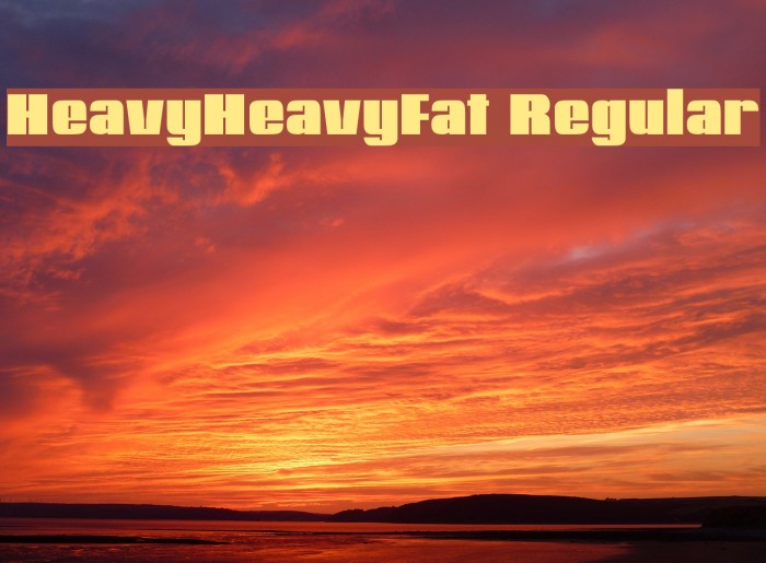 HeavyHeavyFat Regular Example 1