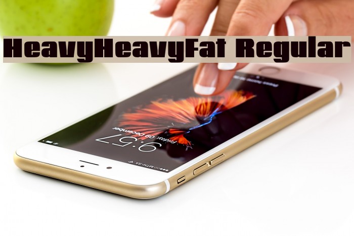 HeavyHeavyFat Regular Example 2