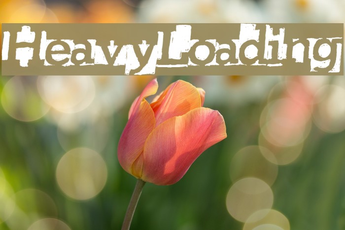 HeavyLoading Font examples