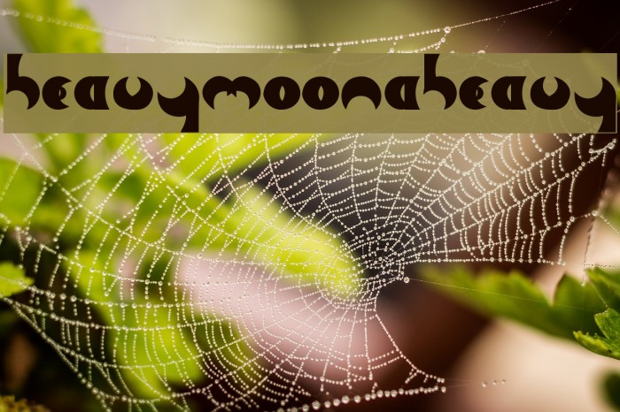 HeavyMoonA-Heavy Example 2