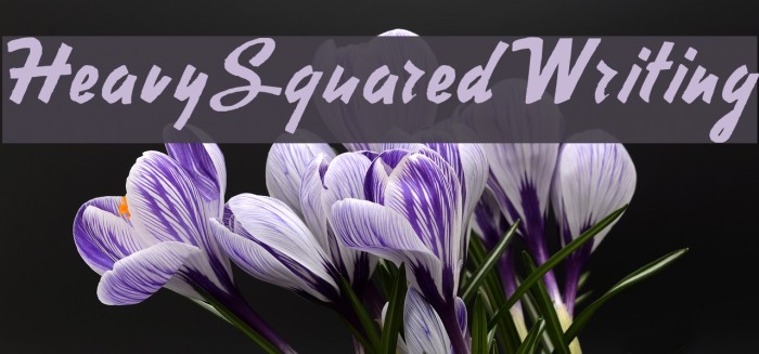 HeavySquaredWriting Example 2