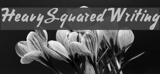 HeavySquaredWriting Font examples