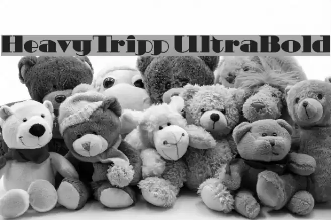 HeavyTripp UltraBold Font examples