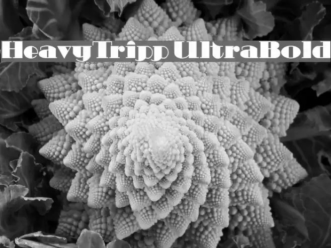 HeavyTripp UltraBold Font examples