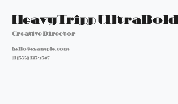 HeavyTripp UltraBold Business Card