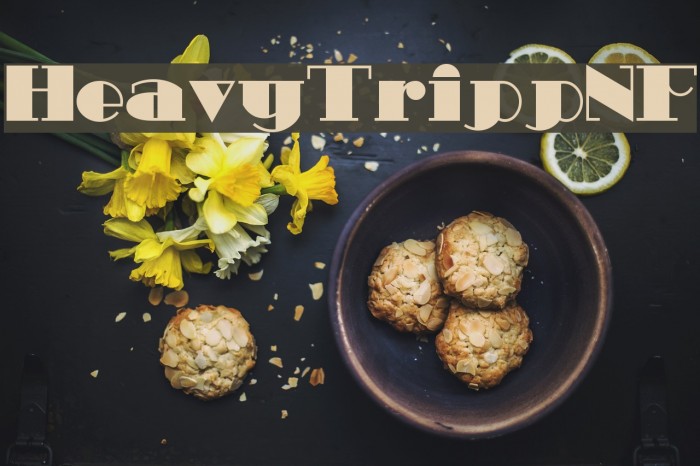 HeavyTrippNF Example 1