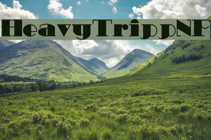 HeavyTrippNF Example 2