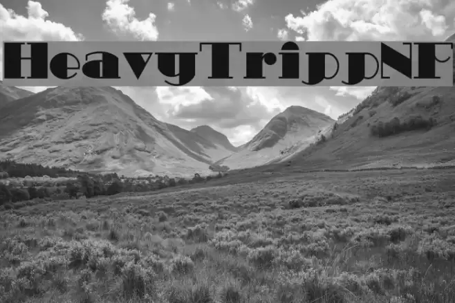HeavyTrippNF Font examples