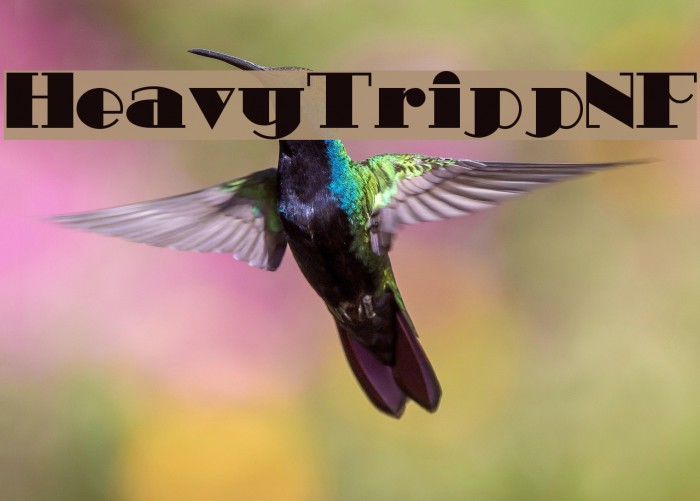 HeavyTrippNF Example 3