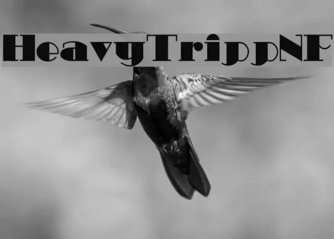 HeavyTrippNF Font examples