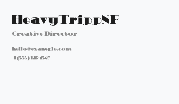 HeavyTrippNF Business Card