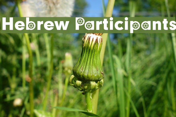Hebrew Participants Font examples
