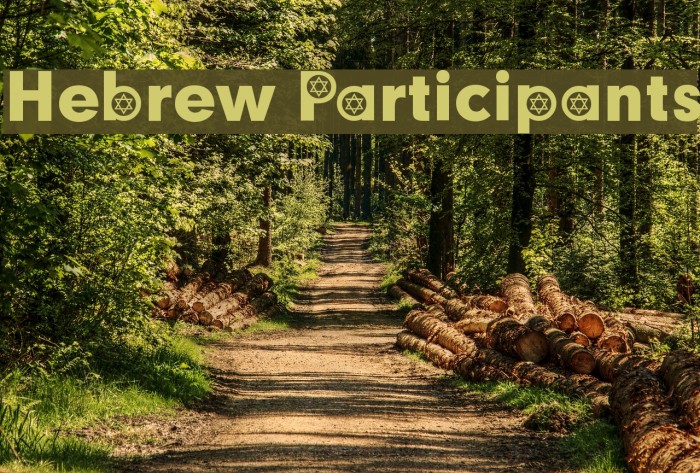 Hebrew Participants Font examples