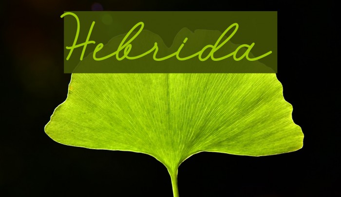 Hebrida Font examples