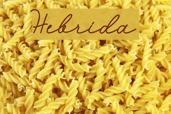 Hebrida Example 3