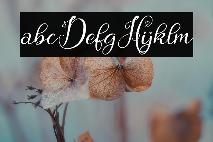 Hebydia-Demo Example 3