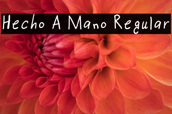 Hecho A Mano Regular Example 1