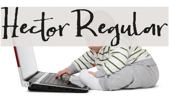 Hector-Regular Example 3