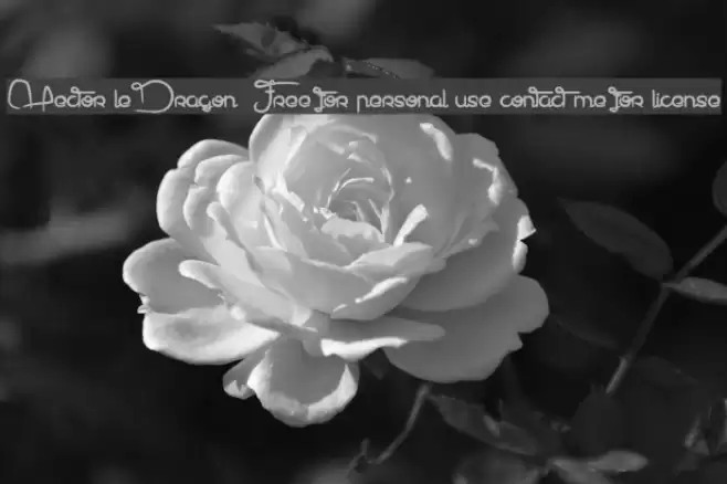 Hector le Dragon ---- Free for personal use contact me for license Font examples