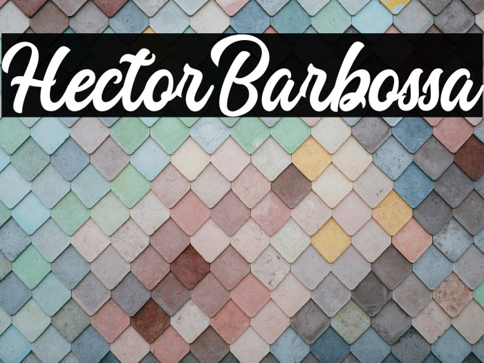 HectorBarbossa Example 1
