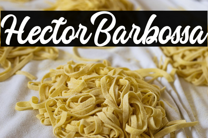 HectorBarbossa Example 2