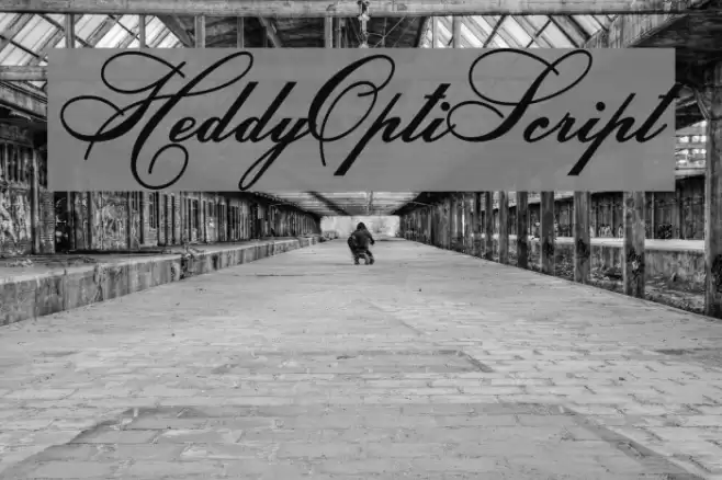 HeddyOptiScript Font examples