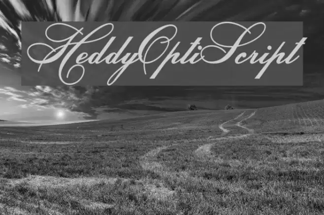 HeddyOptiScript Font examples