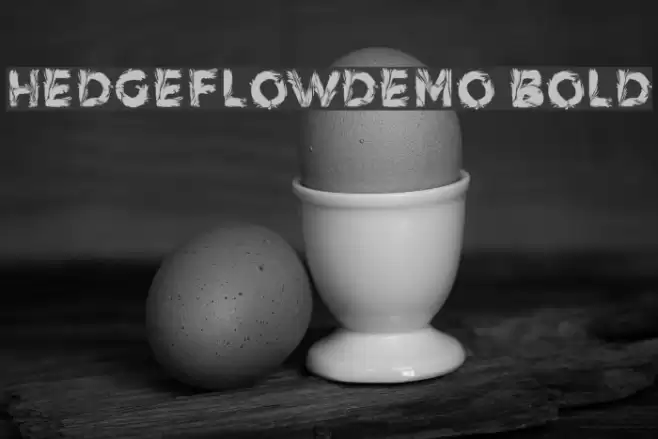 HedgeFlowDemo Bold Font examples