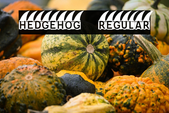 Hedgehog Regular Example 1