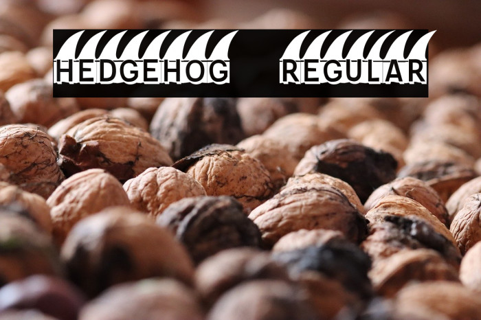 Hedgehog Regular Example 2