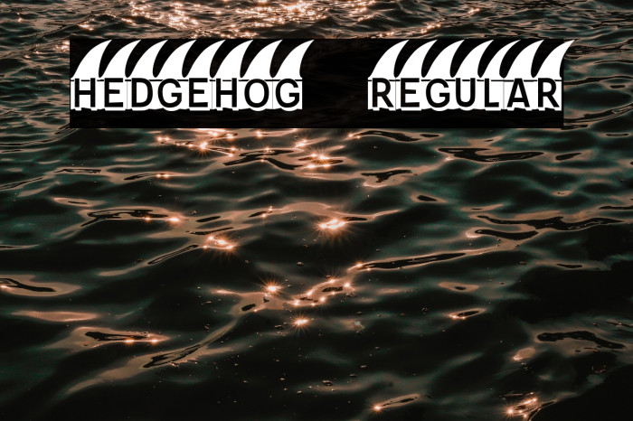 Hedgehog Regular Example 3
