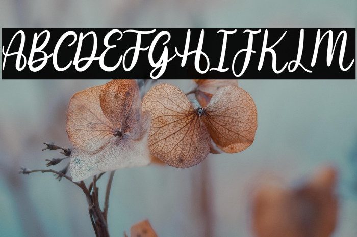 Hedon Regular Example 1