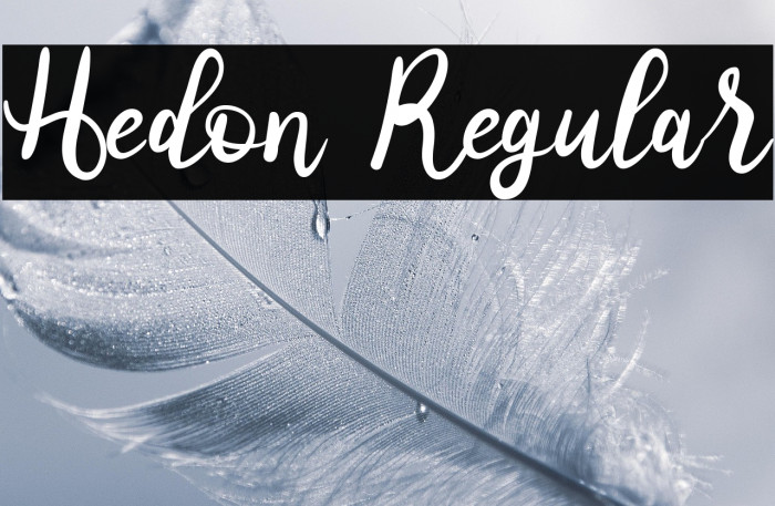 Hedon Regular Example 1