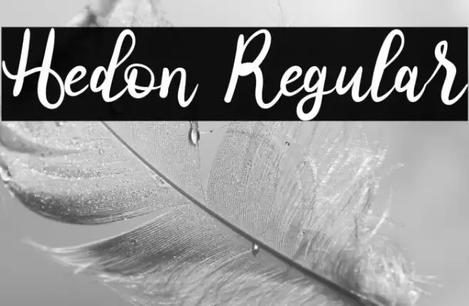 Hedon Regular Font examples