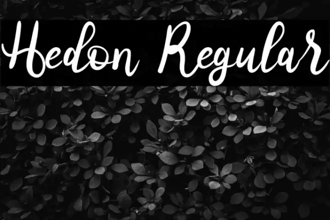 Hedon Regular Font examples