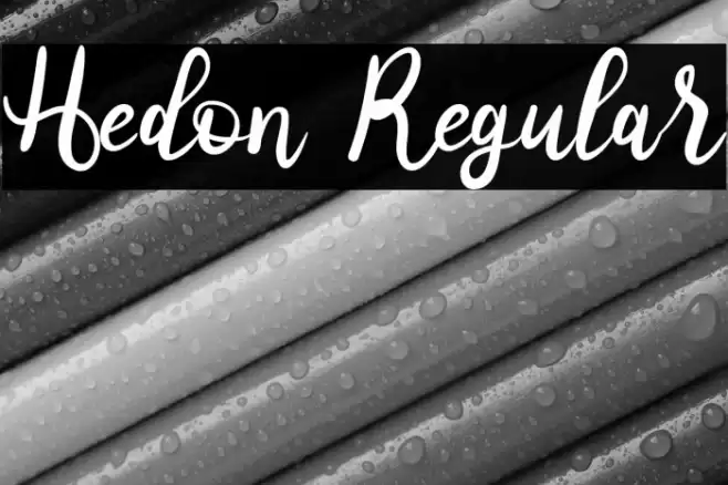Hedon Regular Font examples