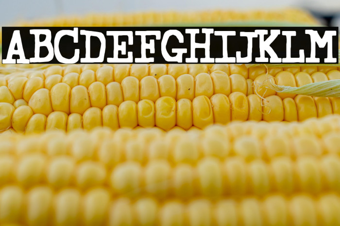 Hedonismo En La Oficina Example 2