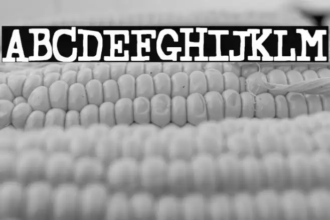 Hedonismo En La Oficina Font examples