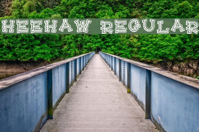 HeeHaw Regular Font examples
