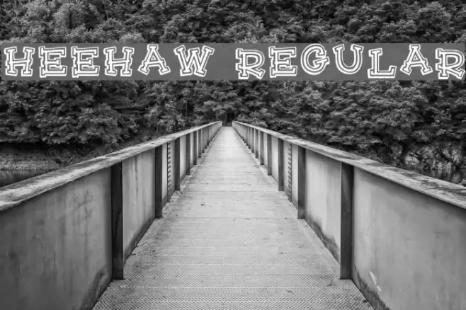 HeeHaw Regular Polices examples