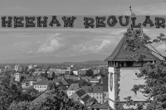 HeeHaw Regular Polices examples