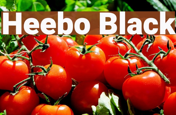 Heebo Black Font examples