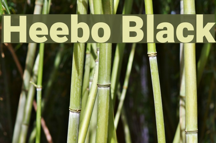 Heebo Black Font examples