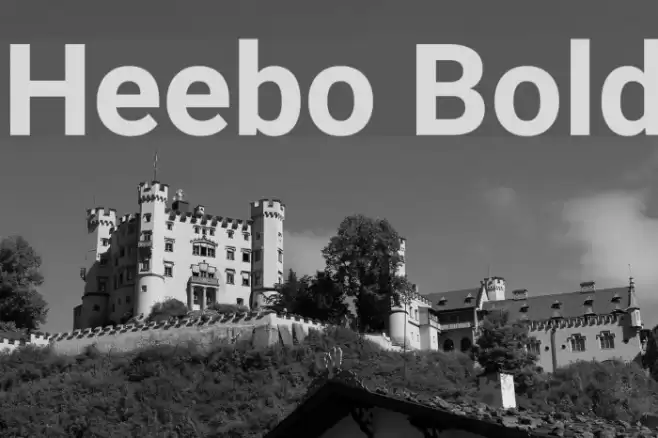 Heebo Bold Font examples