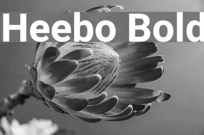 Heebo Bold Font examples
