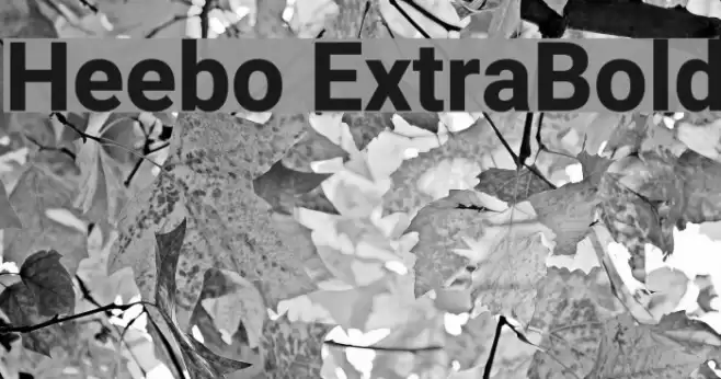 Heebo ExtraBold Font examples