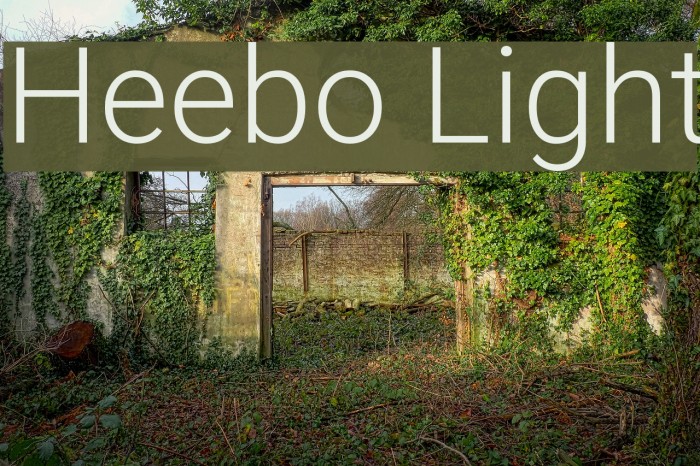 Heebo Light Font examples