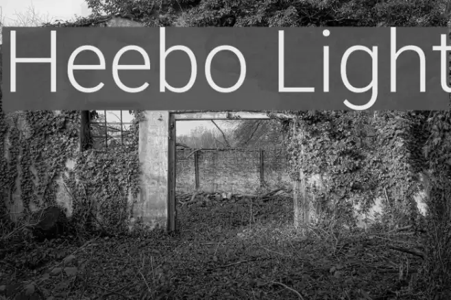 Heebo Light  examples